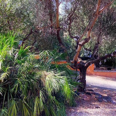 Locazione Turistica Dream House Marzia Villa Rome Bagian luar foto