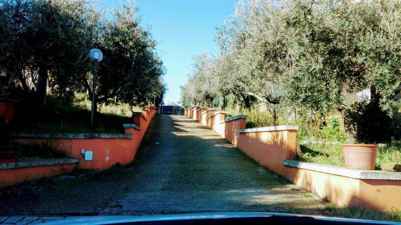 Locazione Turistica Dream House Marzia Villa Rome Bagian luar foto
