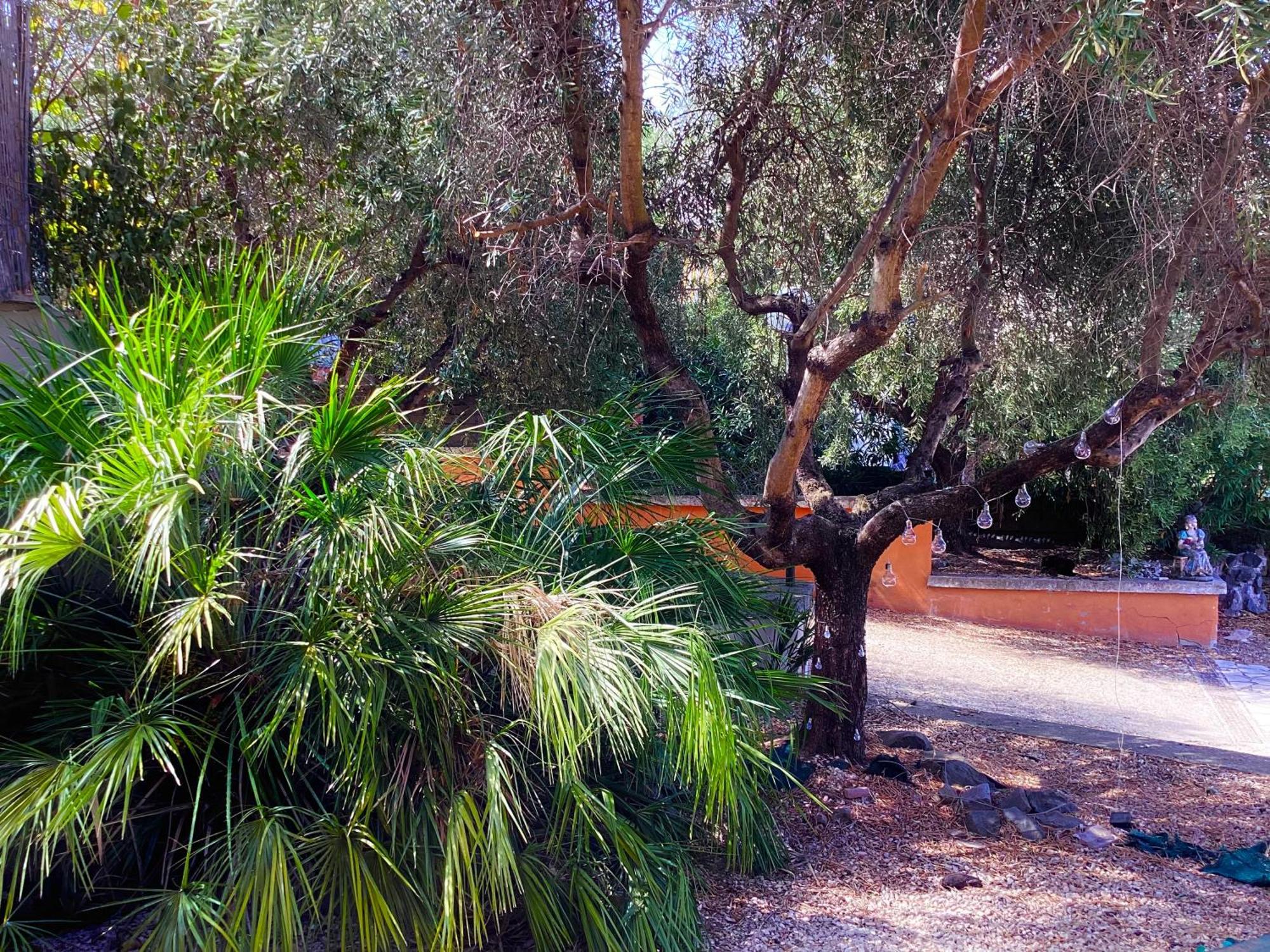 Locazione Turistica Dream House Marzia Villa Rome Bagian luar foto